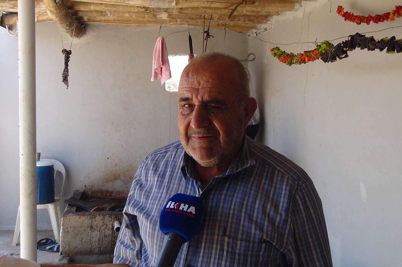 Üzümün pekmez ve pestil olma yolculuğu başladı